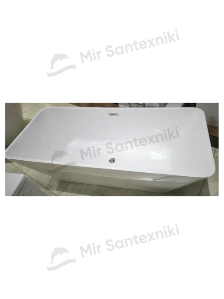 Debora vannasi EIL-6127